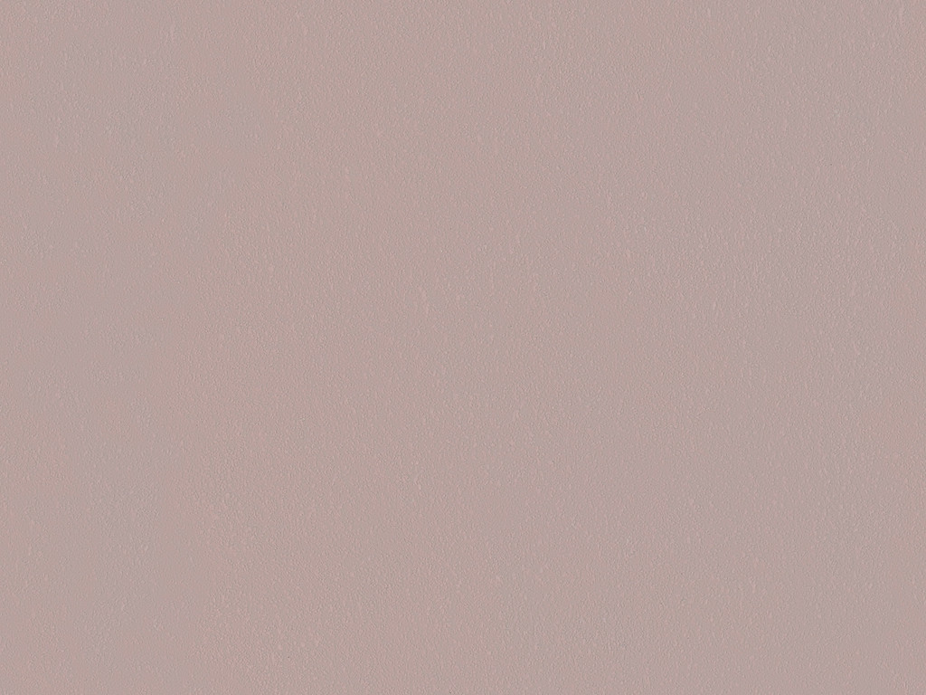 Plaster Wall Finish product image 3