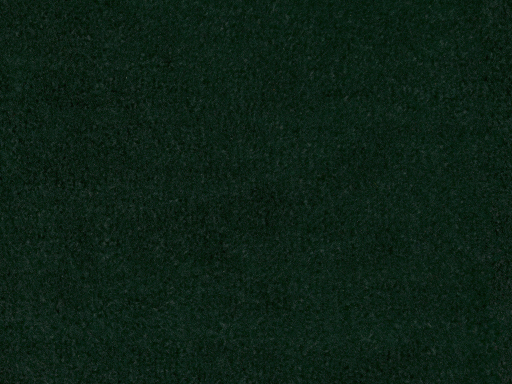 Green Carpet product image 2