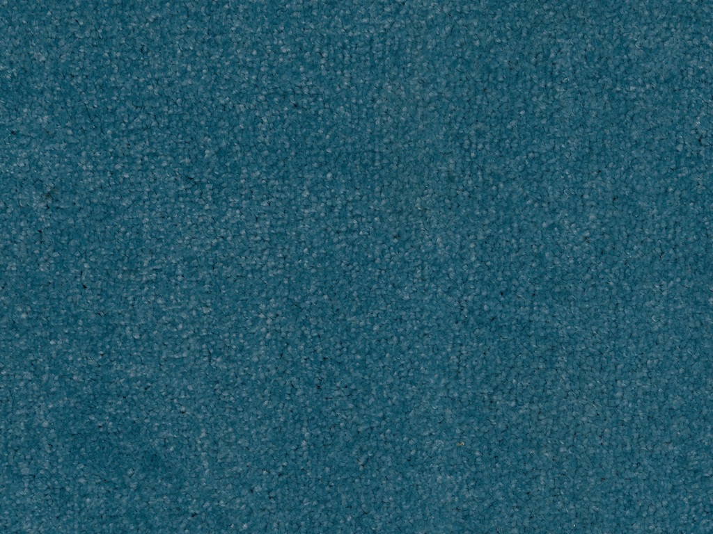 Blue Carpet product image 2